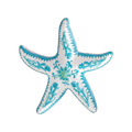 Estrella de Mar Azul