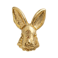 Conejo