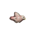 Paloma