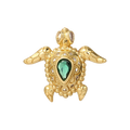 Tortuga