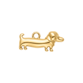 Dachshund