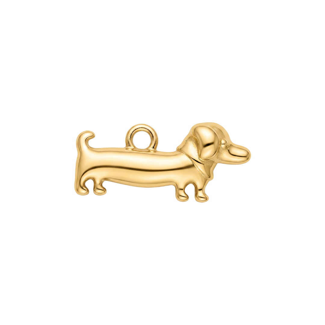 Dachshund