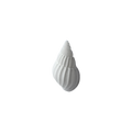 Caracola Natural Blanca