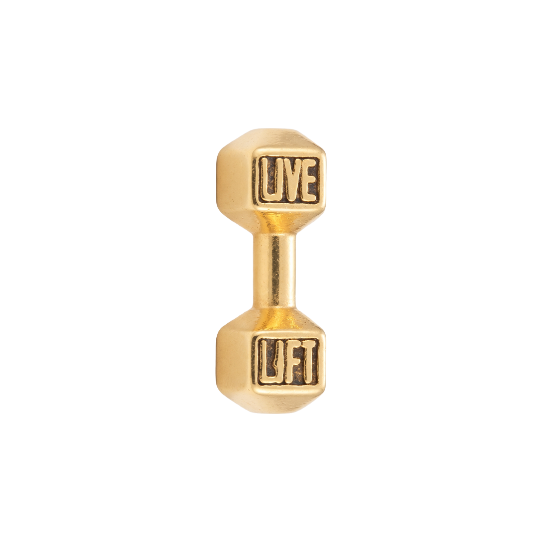 Pesa "Live Lift"