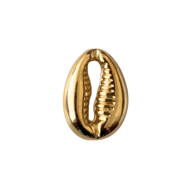 Gold Cowrie