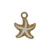 Estrella de Mar