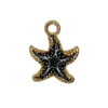Estrella de Mar