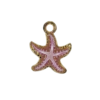 Estrella de Mar