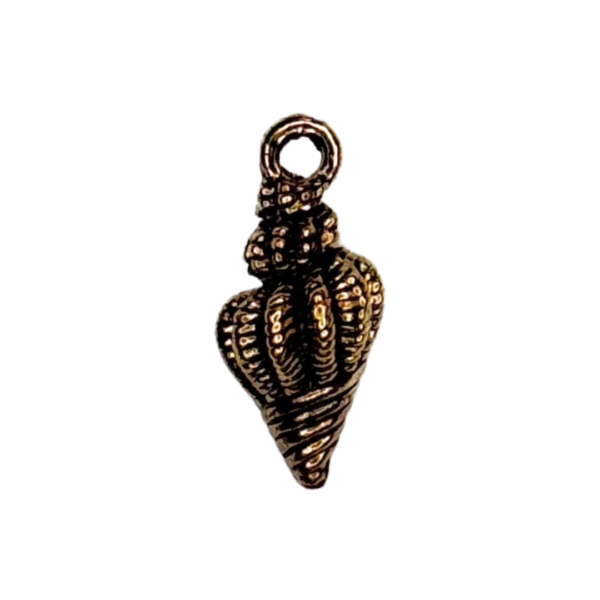 Caracola Espiral