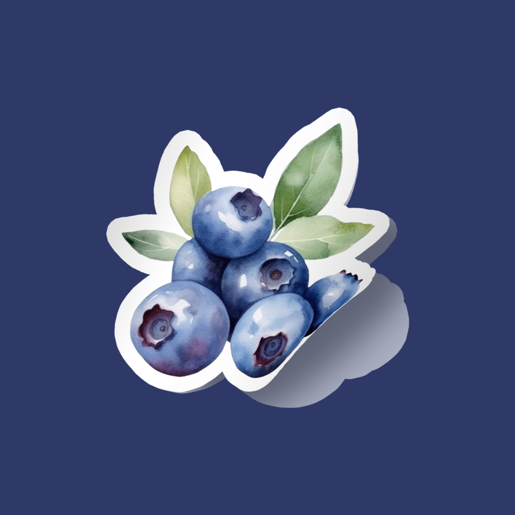 Sticker Arándano