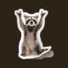 Sticker Racoon