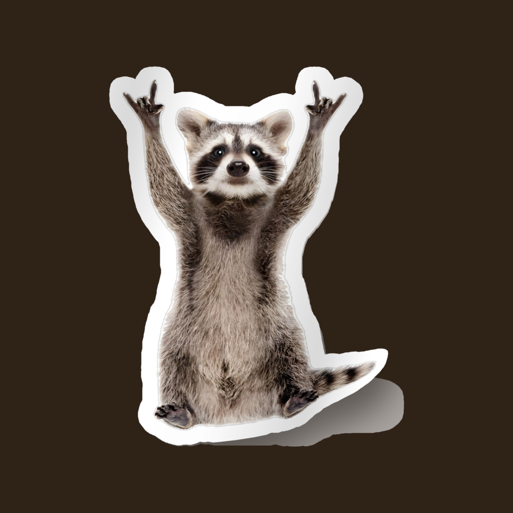 Sticker Racoon
