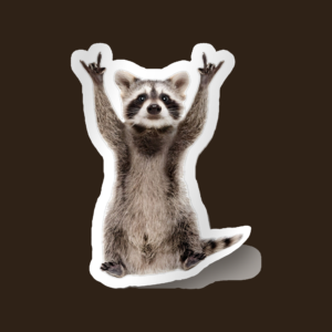 Sticker Racoon